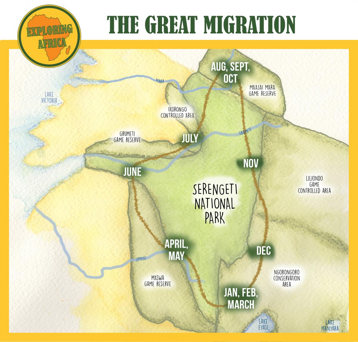 The stages of the Great Migration in Serengeti National Park