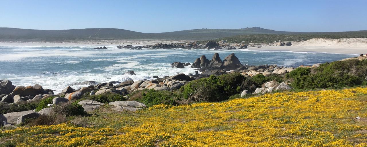 West Coast National Park